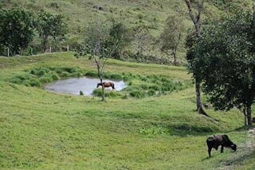 Finca En San Cristobal Chorro El Indio