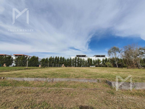 Imagen 8 de 9 de Terreno - Lote Al Rio - Venta - 1200mts - San Juan - Villanueva -tigre