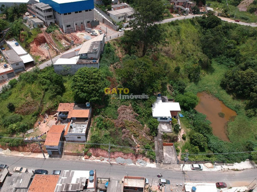 Terreno Para Venda Em Santana De Parnaíba, Chácara Do Solar Ii (fazendinha) - 20900_1-1749162
