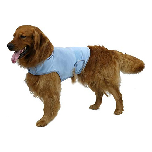 Kittystar Camisa Transpirable Para Perro Para Tormentas Elé