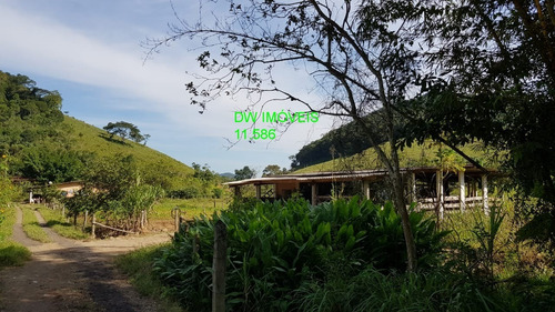 Imagem 21 de 30 de Juquiá/sitio Com Pupunha/ Pasto E 05 Lagos Para Pesqueiro - 04857 - 34121206