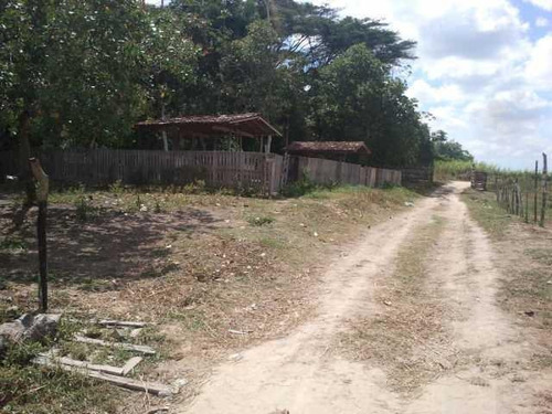 Imagem 13 de 16 de Chácara À Venda, 40000 M² Por R$ 800.000,00 - Abc - Moreno/pe - Ch0001