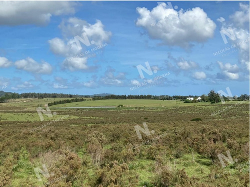 Imagen 10 de 15 de Venta Campo En Maldonado - Maldonado