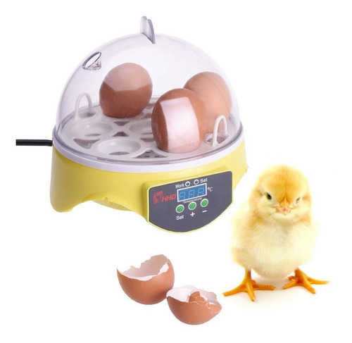 Incubadora De 7 Huevos Pollos, Codorniz, Faisan Etc Pequeña