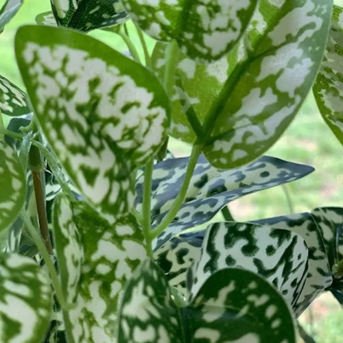 Planta Artificial De Escritorio Con Maceta Cónica + Piedras