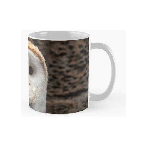 Taza Búho Lindo - Lechuza Común Calidad Premium