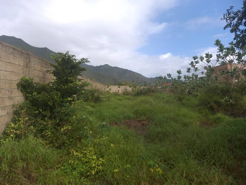 Imagen 10 de 12 de Amplio Terreno Vía Guacuco Con Sus Servicios. Tapiado Y Con Proyecto 22-19040