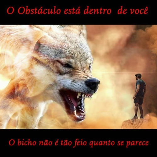 Concurso Araçatuba Professor Ensino Básico Ii Peb Ii Artes