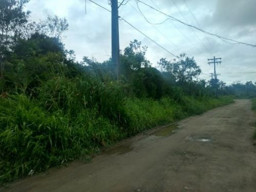 Imagem 2 de 6 de Terreno Medindo 1250 No Jd Aguapéu Em Itanhaém - 6307 | Npc