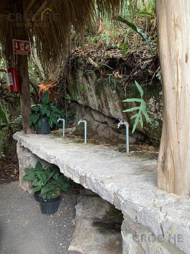 Parque Ecológico En Venta En Lencero - La Tinaja Emiliano Zapata Veracruz, Amenidades En Funcionamiento Para Inversión