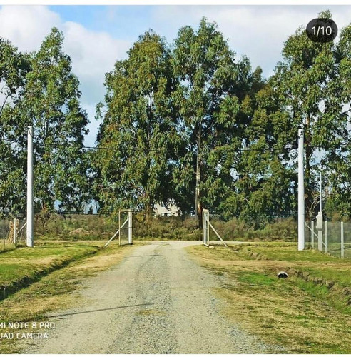 Imagen 3 de 5 de Terreno - La Plata