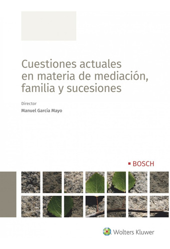 Cuestiones Actuales En Materia De Mediación, Familia Y Suces