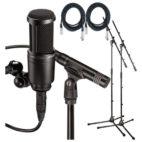 Audio Technica At2041sp Estudio Del Paquete W / Mount, Clamp