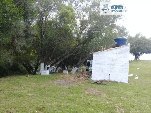 Imagem 5 de 15 de Chácara A Venda No Bairro Centro Em Piratini - Rs. - 2141-1
