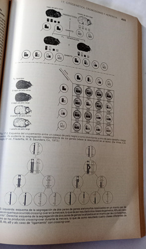Biologia Celular Y Molecular De Robertis El Ateneo 1992 (Usado)