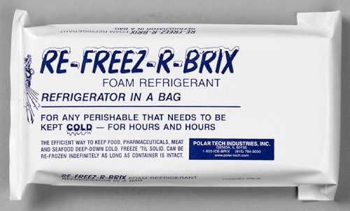 Polar Tech Rb30 Re-freez-r-brix Espuma Refrigerante Paquete,