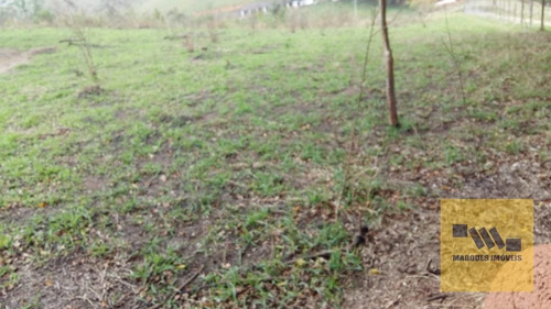 Imagem 1 de 13 de Terreno Em Monte Negro - Santa Isabel - 4041