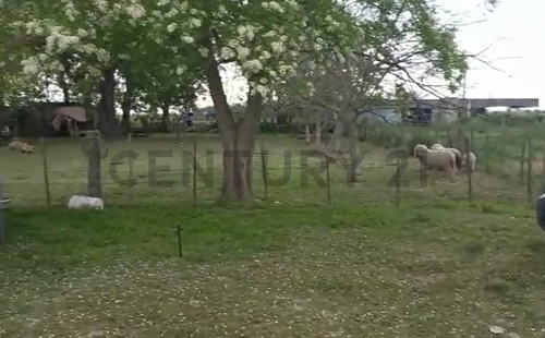 Imagen 9 de 15 de Espectacular Campo De 33 Hectáreas En Venta Con Casco Y Dos Galpones, Rp6