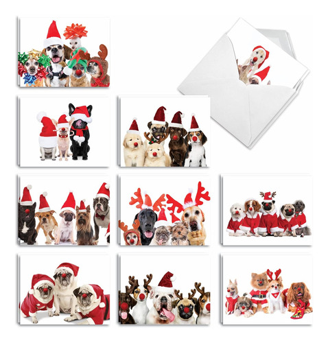 Happy Howling Days Am9562hhg-b2x10-us - 20 Tarjetas De ...