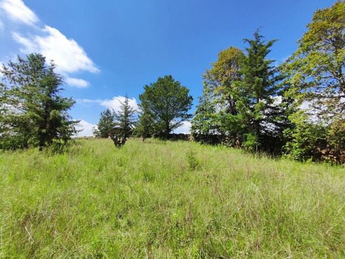 Terreno En Venta En Amealco