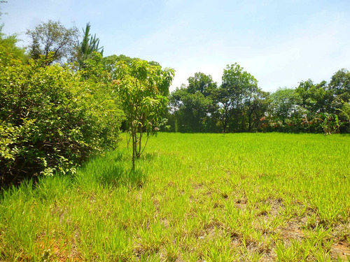 Imagem 7 de 18 de Terreno A Venda, Colinas De Indaiatuba Ii, Indaiatuba - Tr01631 - 4229513