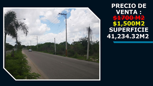 Venta De Terreno En Dzitya Precio Por Metro Cuadrádo Norte Yucatán