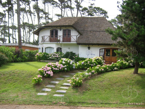 Punta Del Este, Chalet Amplio En Pinares, Gran Jardín.