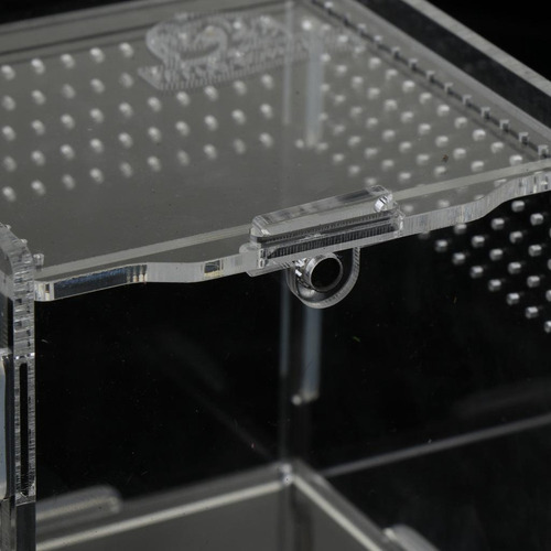 Nuevo Caja De Cría Tortuga Arañas Accesorios De Blanco 1