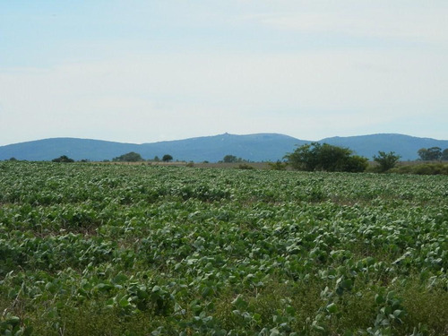 Solis De Mataojo 183ha Agr-gan Sobre Ruta 8