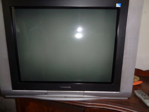 Tv Panasonic 29 Pantalla Plana Sin Envios