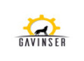 GAVINSER