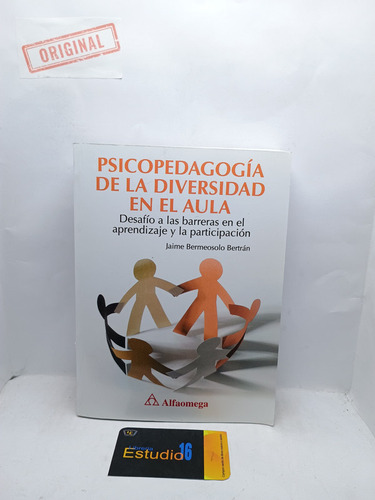 Psicopedagogia De La Diversidad En El Aula