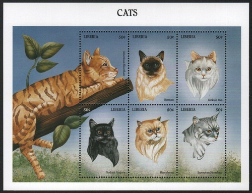 1999 Felinos - Gatos Del Mundo- Liberia Mnh
