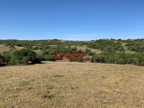 Imagen 21 de 30 de Venta Campo Ubicado En Garzón