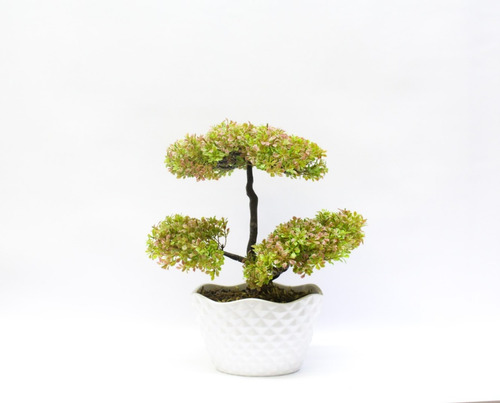 Mini Folha Bonsai Artificiais Vaaso Acrílicoo Mini Folhas