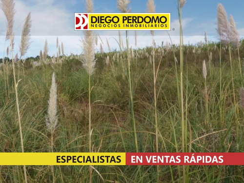 Chacra De 31.950 M² En Venta, Montevideo