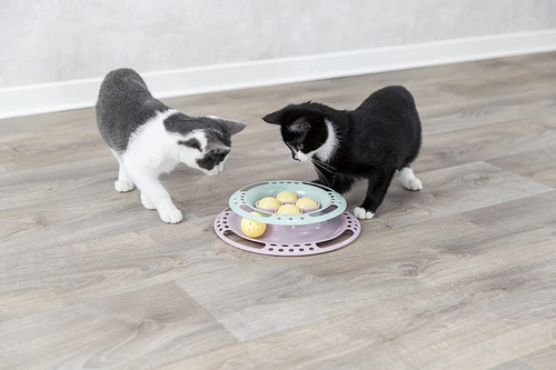 Imagen 6 de 7 de Juguetes Interactivo Gatos Pelotas Diversion Circuito