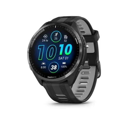 Smartwatch Garmin Forerunner 245 30.4mm caja 42.3mm