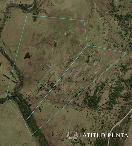 Imagen 16 de 18 de Campo 98 Has Con 2891 M2 En Carape Cuenta Con Costa De Arroyo.