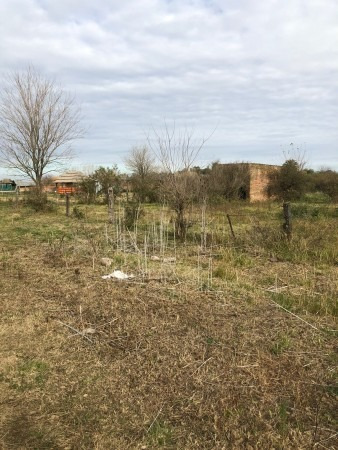 Imagen 2 de 6 de Lote De 20 X 28 Con Escritura En Lezica Y Torrezuri
