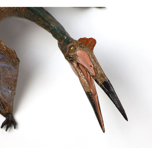 Pterosaurios, Dinosaurios Voladores, Juguete De Simulación D