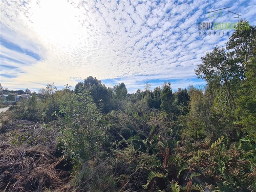 Imagen 9 de 10 de Agrícola En Venta En Puerto Montt