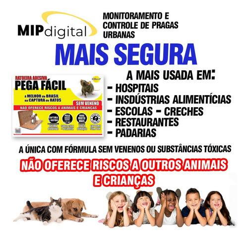 Ratoeira Adesiva De Papel Cola Armadilha Rato Colly 10 Unid