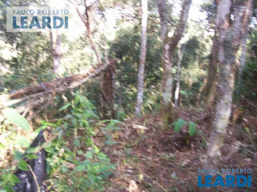 Imagem 2 de 2 de Terreno Em Condomínio - Arujazinho 1, 2, 3 - Sp - 392836