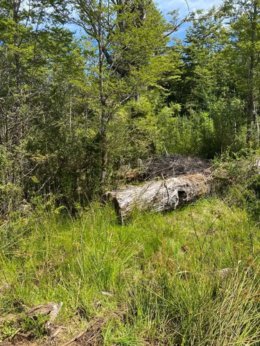 Sitio En Venta En Aisén