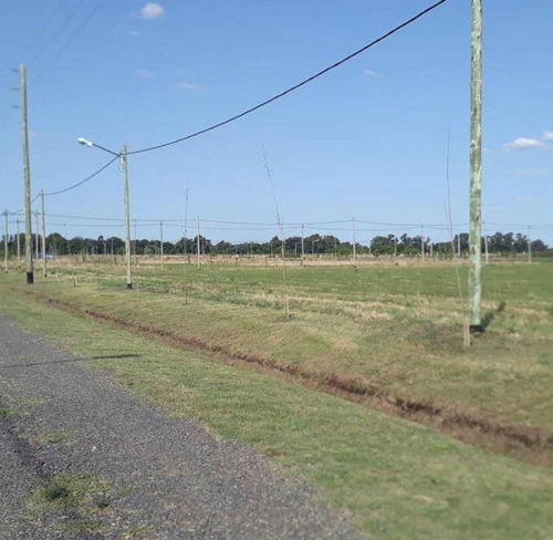 Terreno En Venta - 1000mts2 - La Cándida, Abasto, La Plata