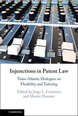 Libro Injunctions In Patent Law: Trans-atlantic Dialogues...