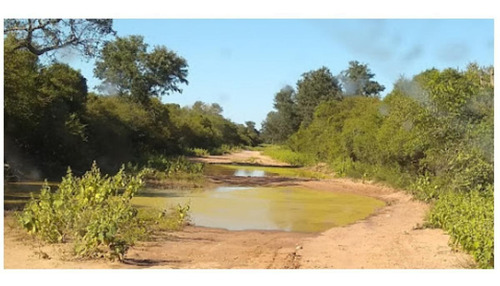 Imagen 3 de 11 de Campo 1000 Ha Depto. Rivadavia Salta - Principalmente Ganadería
