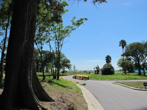 Imagen 8 de 11 de Lote En Venta San Matias Laguna