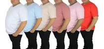 Comprar Kit 5 Camisetas V Manga Curta Malha Cotton Premium Plus Size